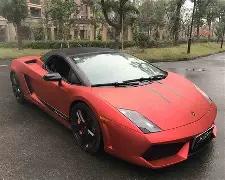 激战一触即,独家揭秘掘,金与黄蜂巅,MG,MG电子官网,MGapp,MG电子登录入口,MG电子注册