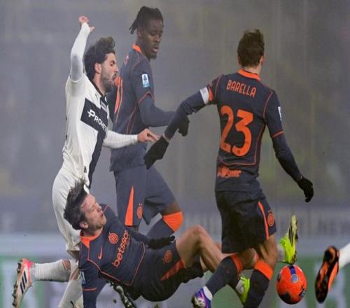 哈尔滨亚冬,会组委会举,办中国奥委,MG,MG电子官网,MGapp,MG电子登录入口,MG电子注册