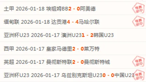 2025匹克球明星赛：阿加西、格拉芙领航，圆满落幕