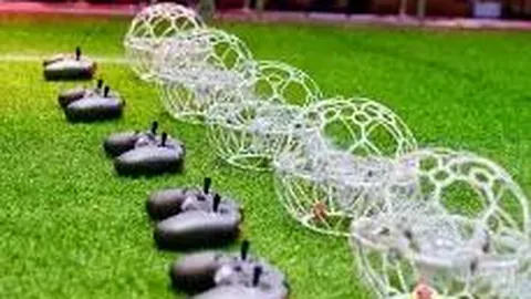 “云南2025年推出201项创新体育赛事，全面覆盖‘三进’活动”